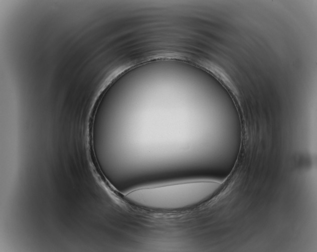 X0000088480898200705220958