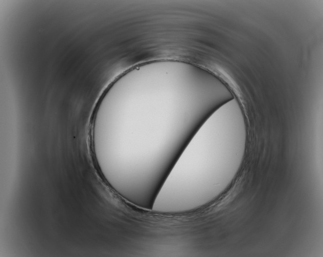 X0000088480899200705220958