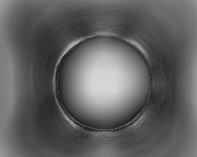 X0000088480902200705220958