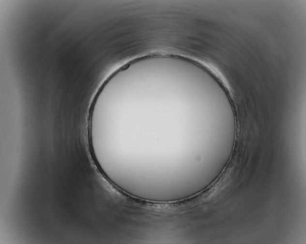 X0000088480903200705220958