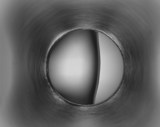 X0000088480904200705220958