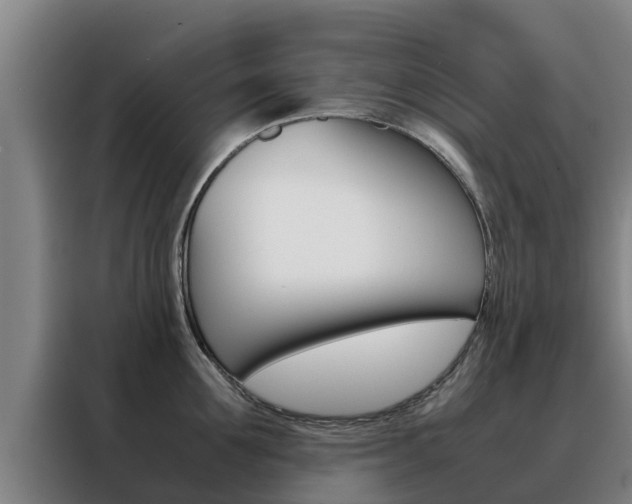 X0000088480907200705220958
