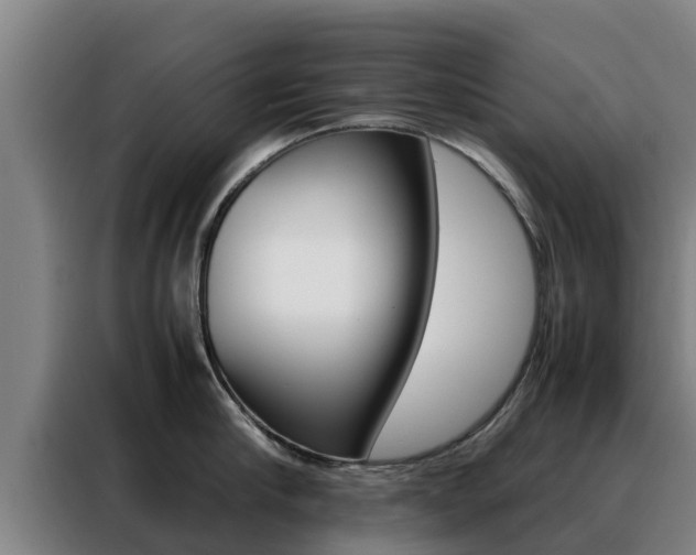 X0000088480910200705220958