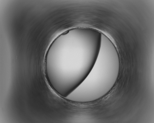 X0000088480911200705220958