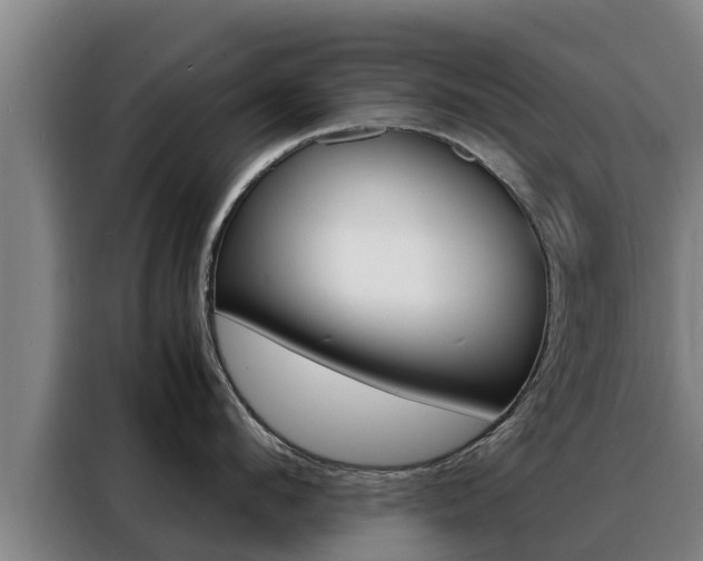 X0000088480912200705220958