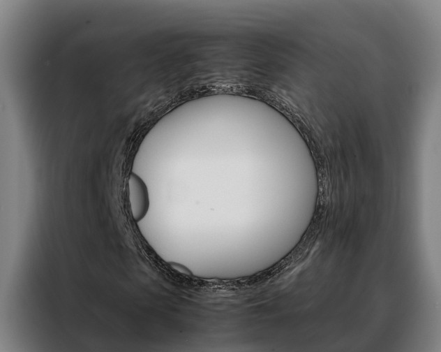 X0000088480913200705220957