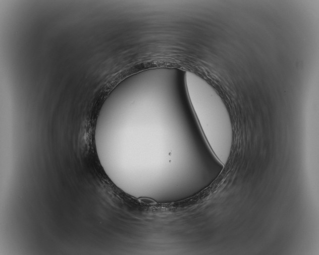 X0000088480914200705220957