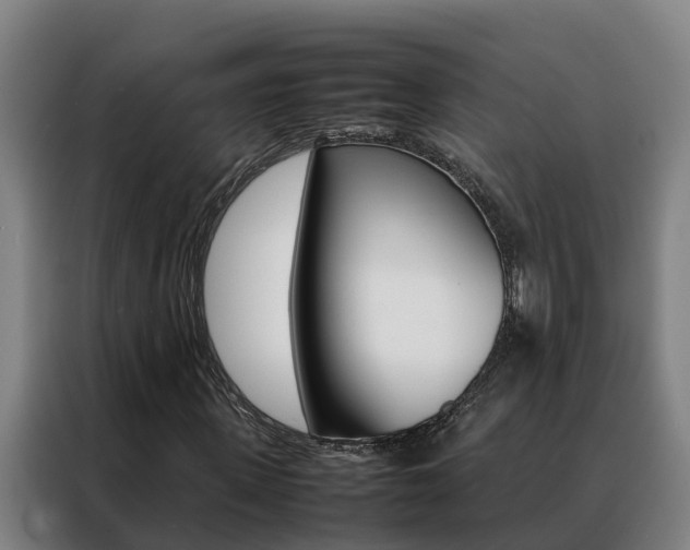 X0000088480915200705220957