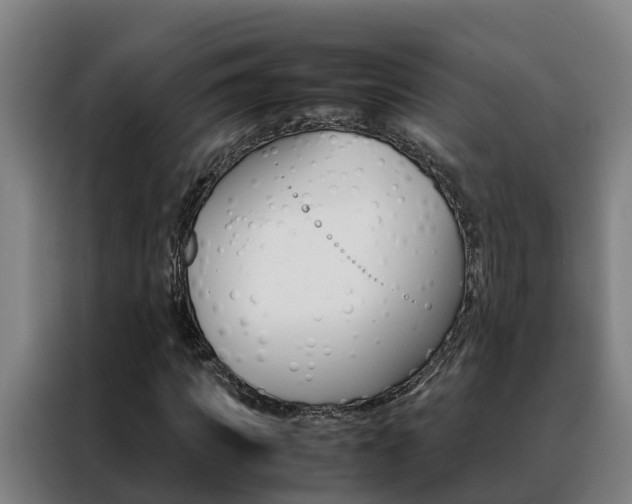 X0000088480917200705220957