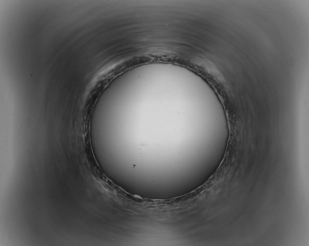 X0000088480920200705220957
