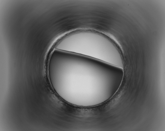 X0000088480927200705220958