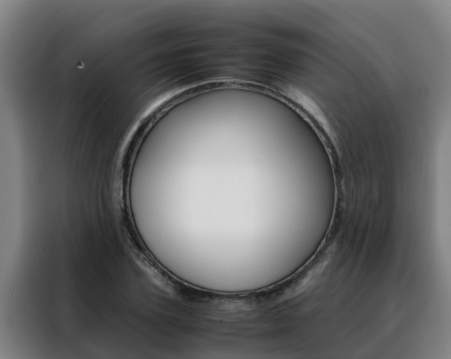 X0000088480931200705220958