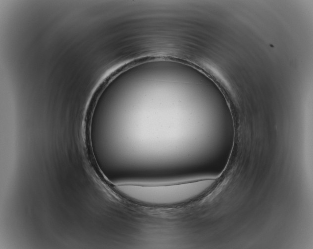 X0000088480932200705220958