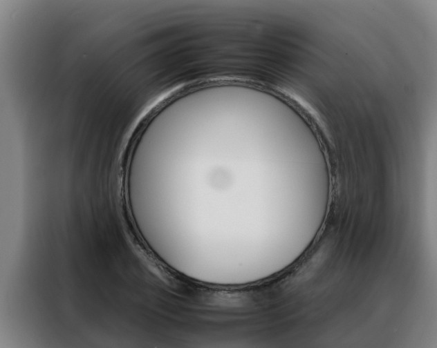 X0000088480933200705220958