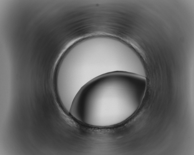 X0000088480934200705220958