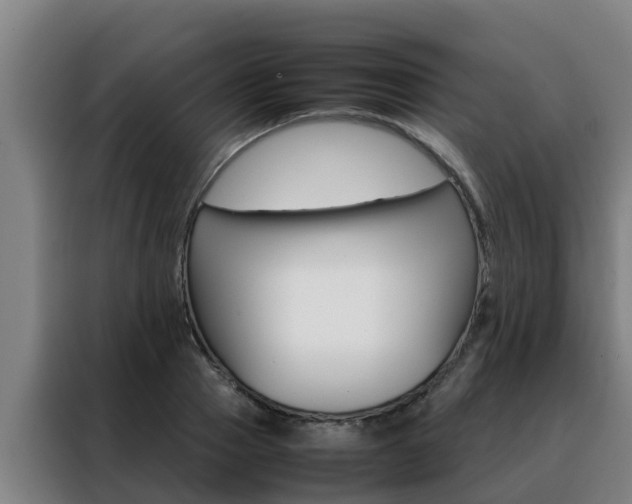 X0000088480937200705220958