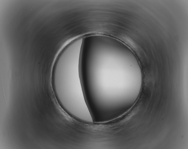 X0000088480940200705220958
