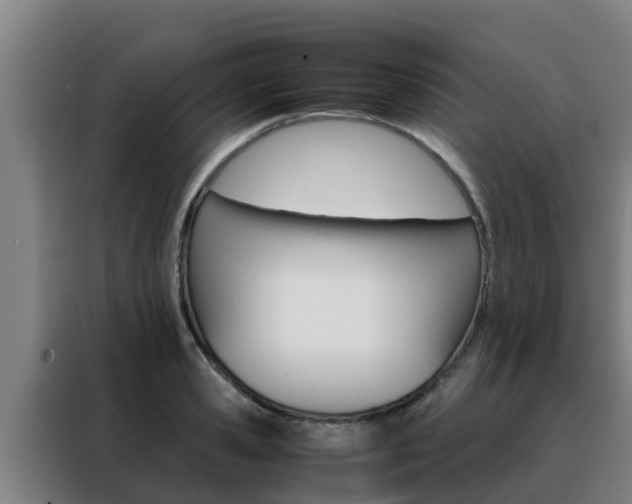 X0000088480941200705220958