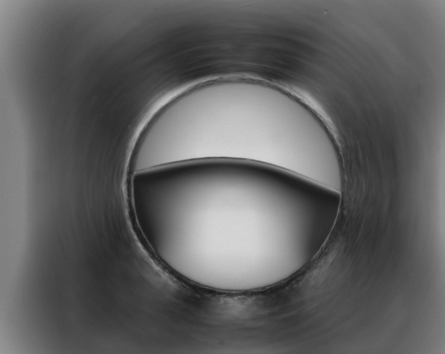 X0000088480943200705220958
