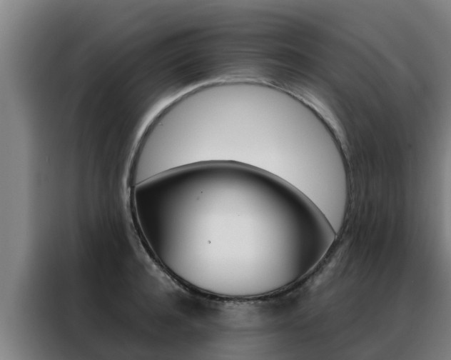 X0000088480944200705220958