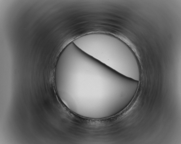 X0000088480945200705220958