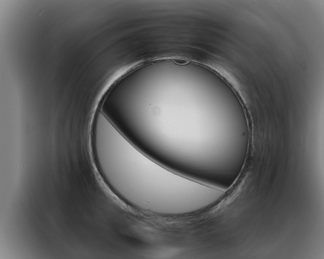 X0000088480949200705220958