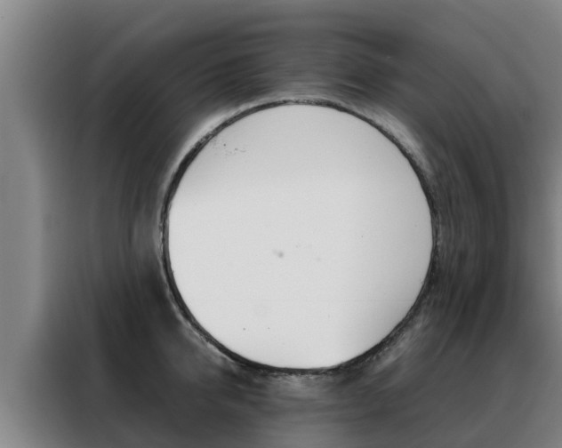 X0000088480950200705220958