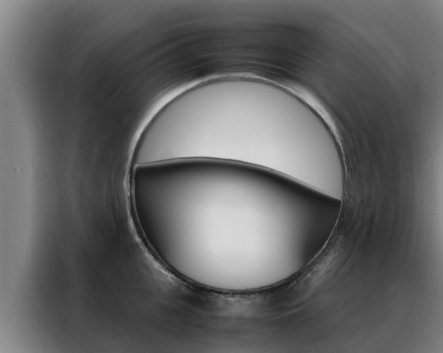 X0000088480951200705220958