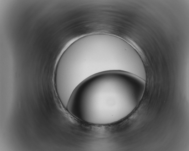 X0000088480956200705220958