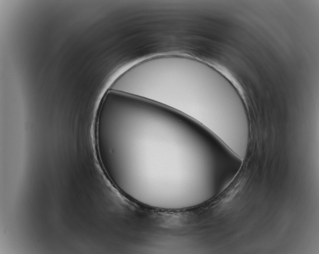 X0000088480959200705220958