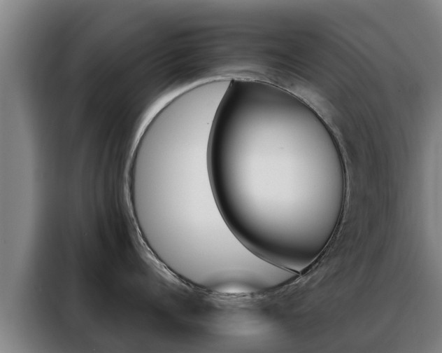 X0000088480960200705220958
