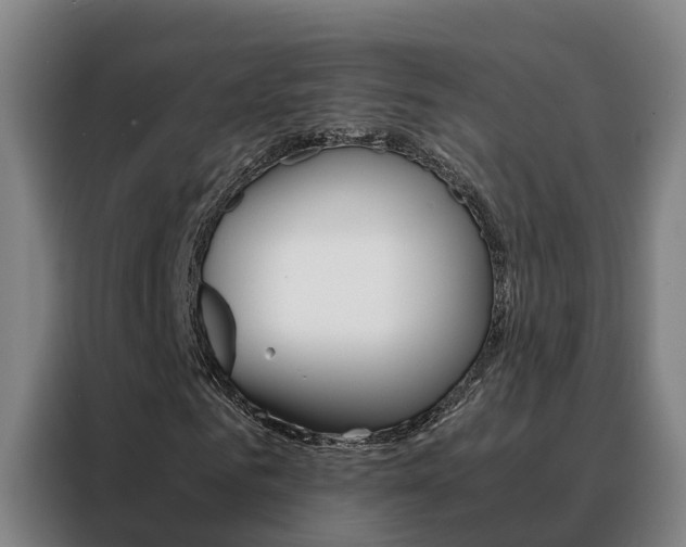 X0000088480961200705220957