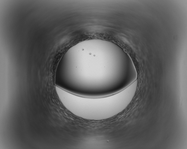 X0000088480965200705220957
