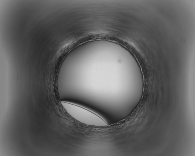 X0000088480967200705220957