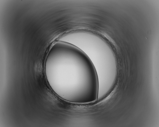 X0000088480969200705220957