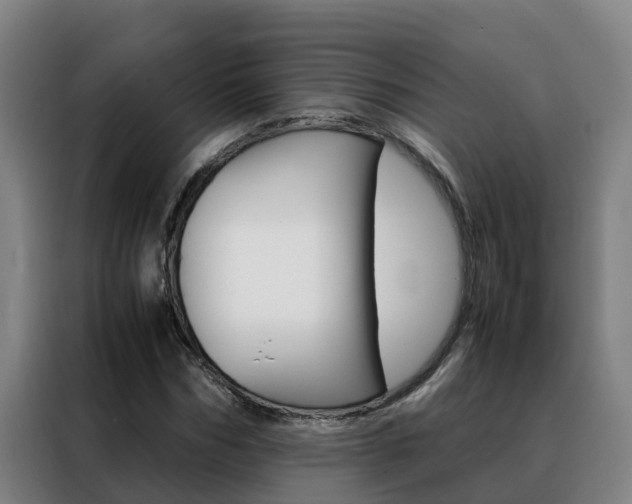 X0000088480970200705220957