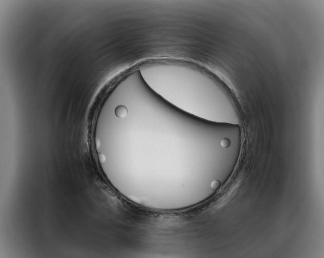 X0000088480974200705220957