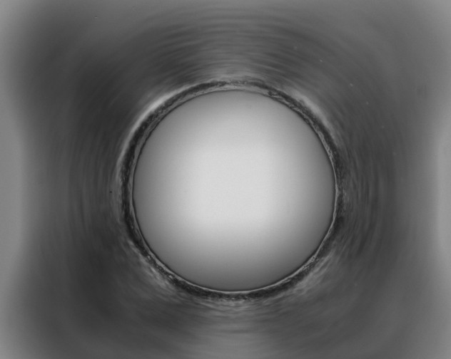X0000088480975200705220957