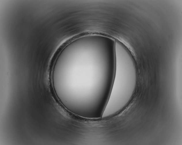 X0000088480976200705220957