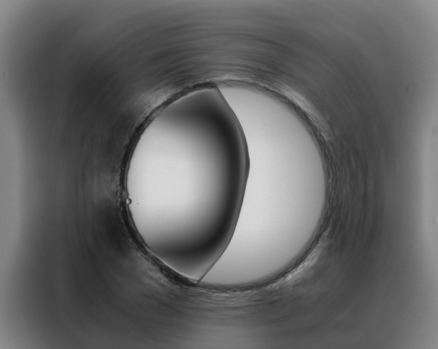 X0000088480977200705220957