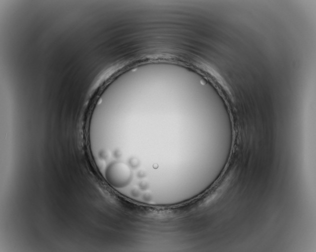 X0000088480978200705220957