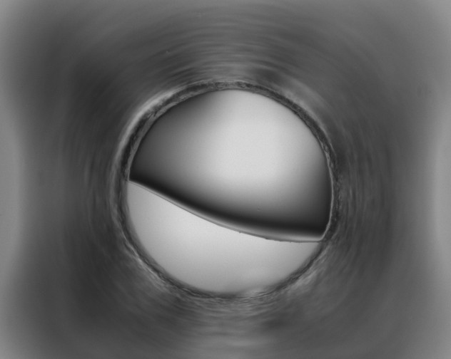 X0000088480979200705220957