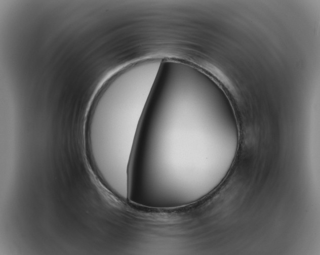X0000088480980200705220957