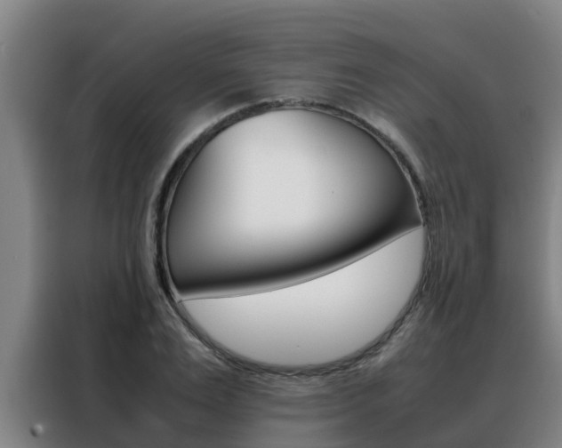 X0000088480983200705220957