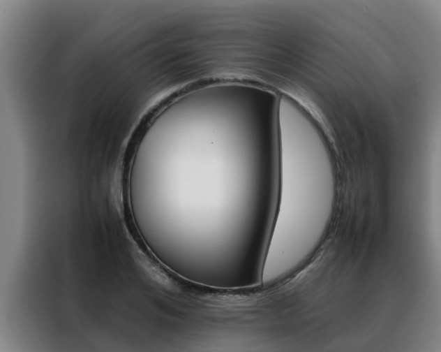 X0000088480984200705220957