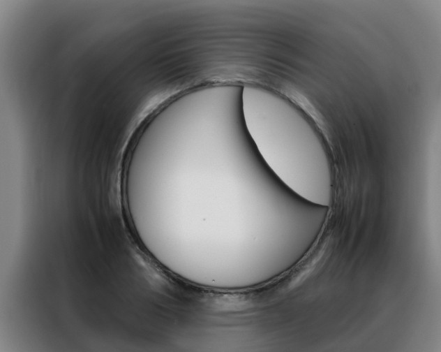 X0000088480986200705220957