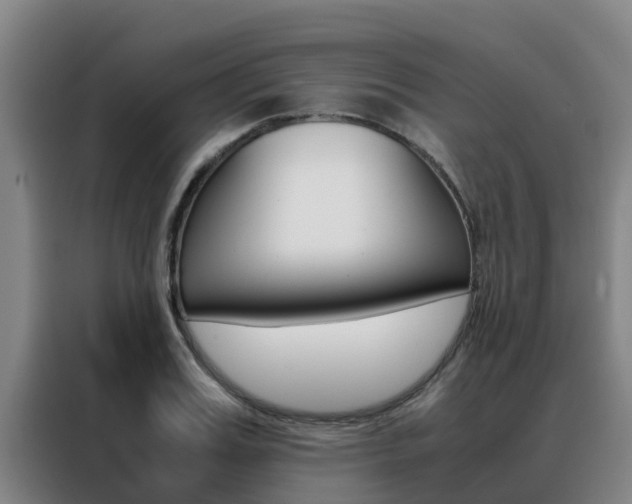 X0000088480987200705220957
