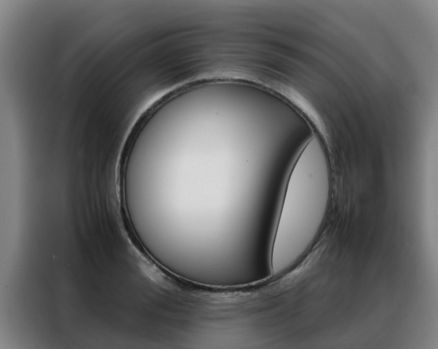 X0000088480988200705220957