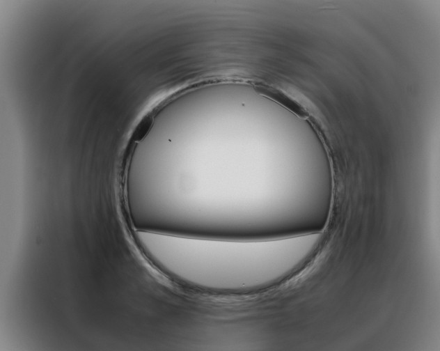 X0000088480989200705220957