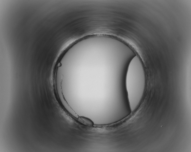 X0000088480990200705220957